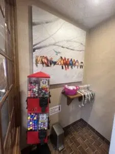 Homepage 11 Dentist Guelph Guelph Dentist Kids Play Area