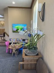 Homepage 13 Dentist Guelph Guelph Dentist Kids TV